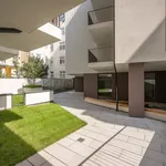 Rent 1 bedroom apartment of 45 m² in Vienna