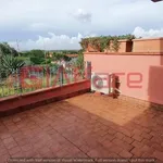 Rent 1 bedroom apartment of 30 m² in Calcinaia