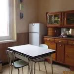 Appartement de 30 m² avec 1 chambre(s) en location à Roanne