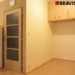 Rent 1 bedroom apartment in Brno