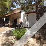 Rent 3 bedroom house of 154 m² in Αγία Παρασκευή