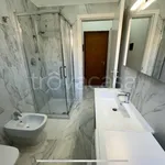 Rent 2 bedroom apartment of 40 m² in Pavia