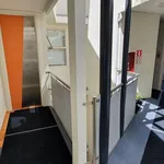 Rent 1 bedroom apartment in Wellington