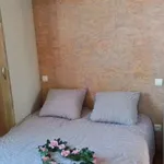 Rent 2 bedroom house of 25 m² in Albi