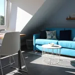 Rent 1 bedroom apartment of 36 m² in Münster