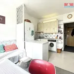 Rent 2 bedroom apartment of 36 m² in Pilsen