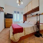 Rent 4 bedroom apartment of 80 m² in Roma