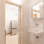 Rent 1 bedroom apartment in Prague