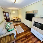 Alquilo 1 dormitorio apartamento de 55 m² en Voto