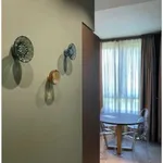 Rent 2 bedroom apartment of 60 m² in Turin