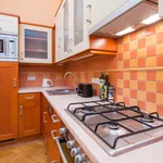 Rent 1 bedroom apartment of 50 m² in Prague