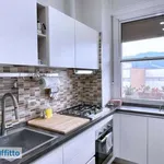 Rent 3 bedroom apartment of 90 m² in Bologna