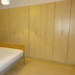 Rent 1 bedroom apartment in Prague