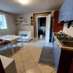 Rent 2 bedroom apartment of 45 m² in Asti