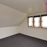 Rent 5 bedroom apartment in Dunedin