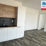 Rent 3 bedroom apartment of 65 m² in Liberec