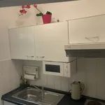 Rent 1 bedroom apartment of 409 m² in Dresden