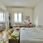 Rent 3 bedroom apartment of 90 m² in Bologna