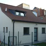 Rent 2 bedroom house of 100 m² in Mechelen