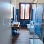 Rent 3 bedroom apartment of 100 m² in San Miniato