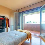 Rent a room in porto