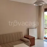 Rent 2 bedroom apartment of 55 m² in San Giovanni Rotondo