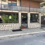 Affitto 3 camera appartamento di 102 m² in Terni