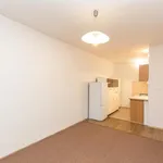 Pronajměte si 2 ložnic/e byt o rozloze 40 m² v Prague