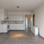 Rent 1 bedroom apartment in Eeklo