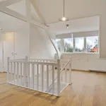 Havelaarstraat, Velp - Amsterdam Apartments for Rent