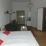 Rent 1 bedroom apartment in Brno