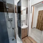 Rent 1 bedroom apartment of 33 m² in Český Těšín