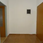 Rent 1 bedroom apartment in Nový Jičín