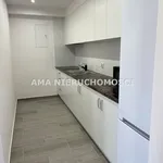 Rent 18 bedroom house of 430 m² in Płock