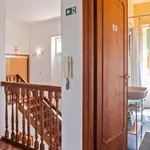 Rent 4 bedroom apartment in Rome