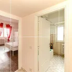 Rent 4 bedroom apartment of 90 m² in Roma