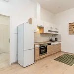 Rent 1 bedroom apartment of 45 m² in Budapest