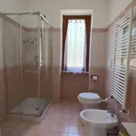 Rent 4 bedroom apartment of 80 m² in Roma