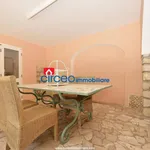 Rent 2 bedroom apartment of 50 m² in San Felice Circeo