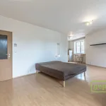 Rent 1 bedroom apartment of 45 m² in Strančice