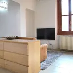 Rent 1 bedroom apartment of 45 m² in milan