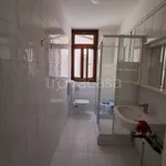 Rent 3 bedroom apartment of 80 m² in Padova