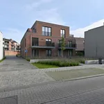 apartment at 9160 Lokeren, Belgium