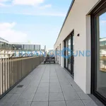 Rent 1 bedroom apartment in berlin