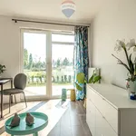 Rent 1 bedroom apartment of 35 m² in Poznan