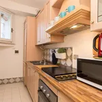 Rent 1 bedroom apartment of 55 m² in rome