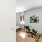 Rent 1 bedroom apartment in Bologna