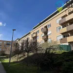 Rent 2 bedroom apartment of 59 m² in Brno