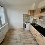 Rent 1 bedroom apartment in Most