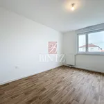 Rent 3 bedroom apartment of 67 m² in STRASBOURG